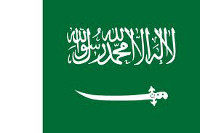 [domain] Saudi Araabia Lipp